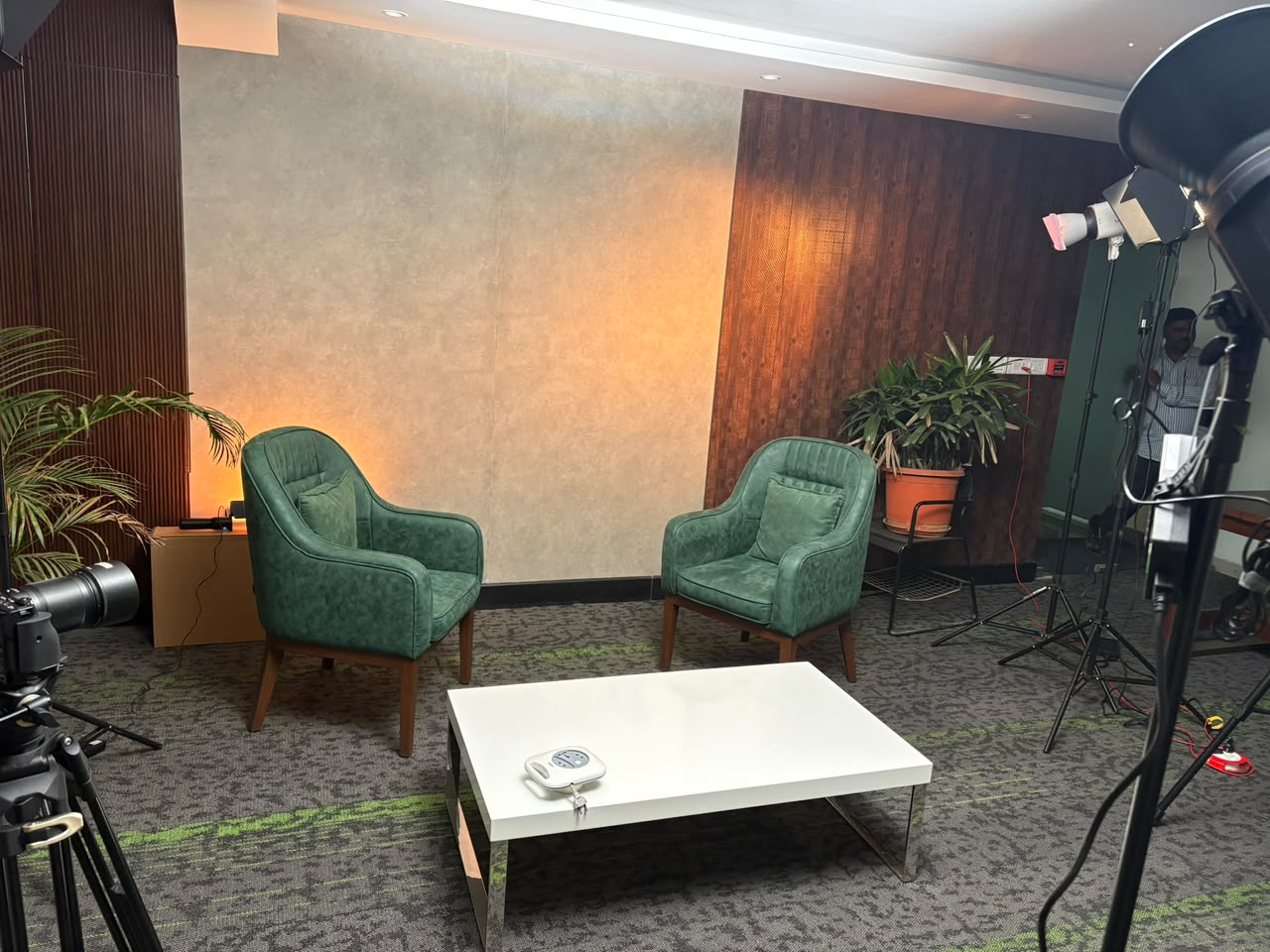 warm cove · green lounge